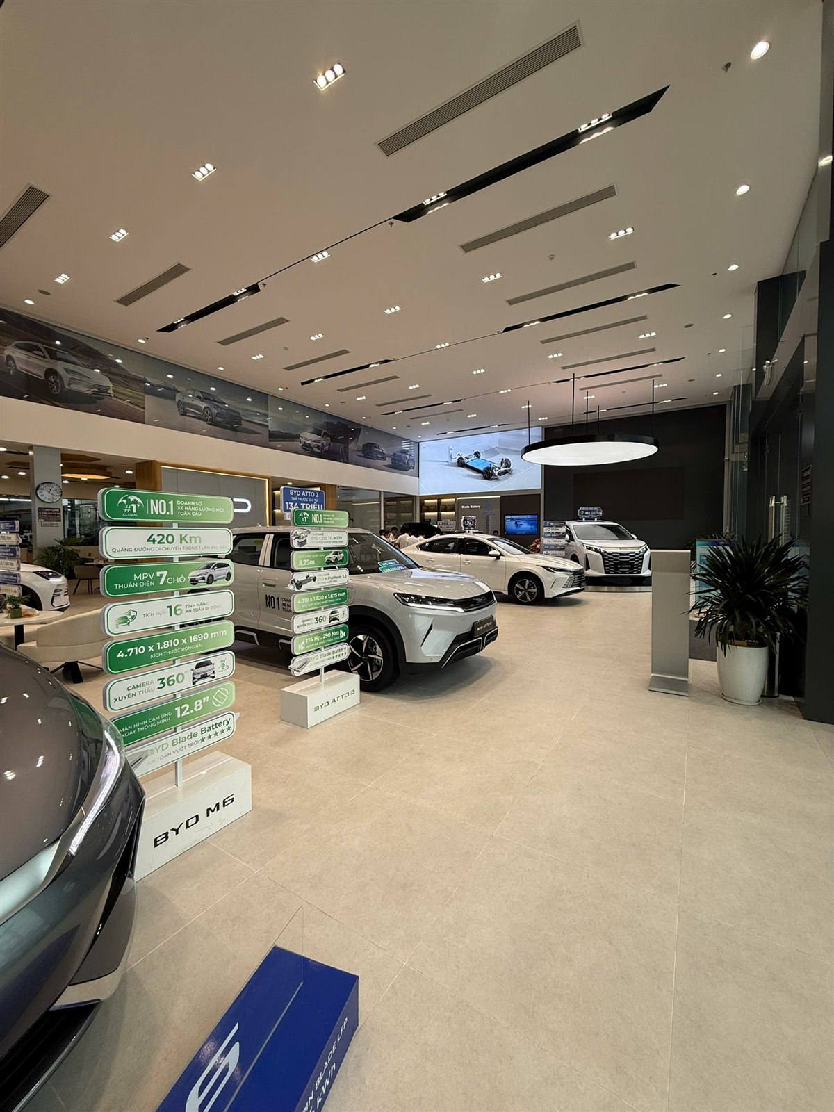 Dãy xe BYD M6 và Atto 2 trưng bày tại showroom Cà Mau