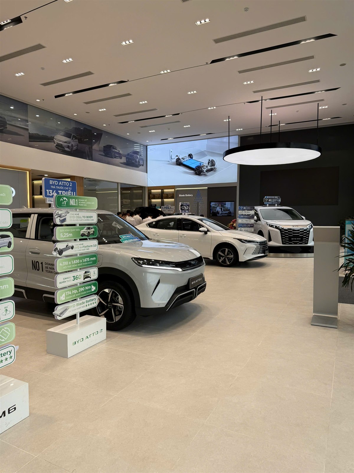 Khu vực trưng bày xe tại showroom BYD Cà Mau